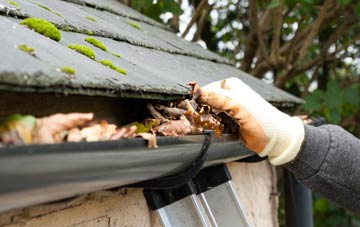 gutter cleaning Tatworth, Somerset